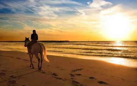 Sunset Beach Horseback Ride Phuket