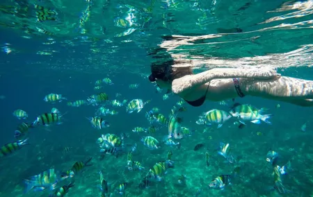 Phi Phi Island Deluxe Package by Tour Hub Asia