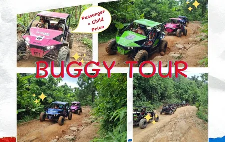 ATV, Buggy, UTV, Zipline