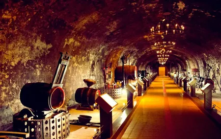 Champagne Day Tour with Reims, Cellars Visit & Champagne Tasting from Paris