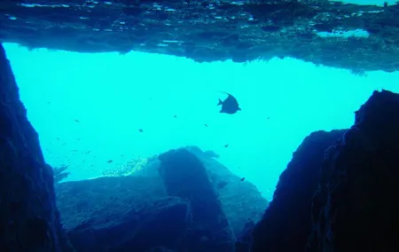 Full-Day Similans Scuba Diving from Phuket