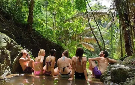 Wildlife Sanctuary Trekking in Khao Phra Thaeo with Lunch