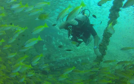 Dive Trip to King Cruiser wreck from Phuket