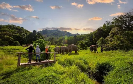 2 Hours Phuket Ethical Elephant Nature Park Visit