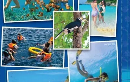 Phuket Sightseeing Raya and Coral Island Full Day By Speedboat