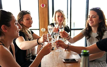 VIP Champagne Region Day Trip with 7 Tastings & Lunch from Paris