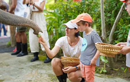 Feed Me Banana Elephant Experience Short Activity