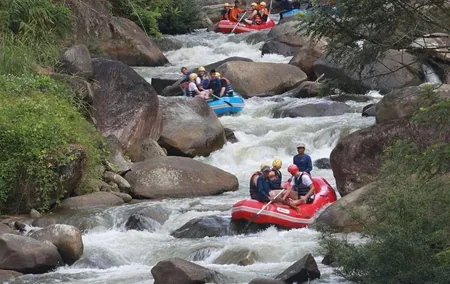 Rafting 5 km, ATV 30 Mins, Fly Fox and Jungle Tour From Phuket