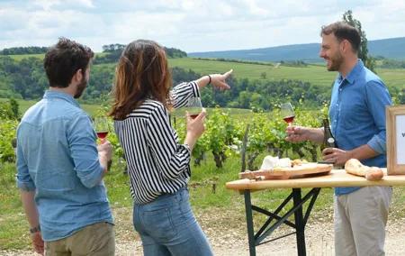 Chablis and Burgundy Wine Tour Run by Sommelier with Lunch