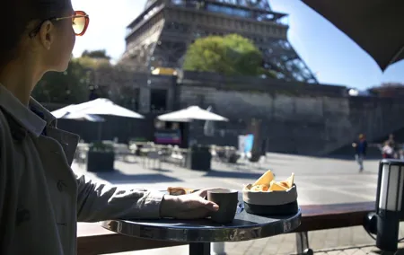Seine River Sightseeing Cruise and Lunch at Le Bistro Parisien