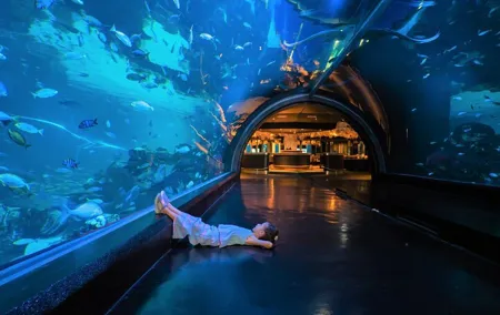 Aquaria and AR Trick Eye Museum Tickets in Phuket