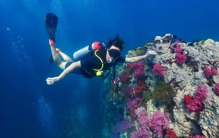 Phuket Scuba Diving Adventure for All Levels with Transfer