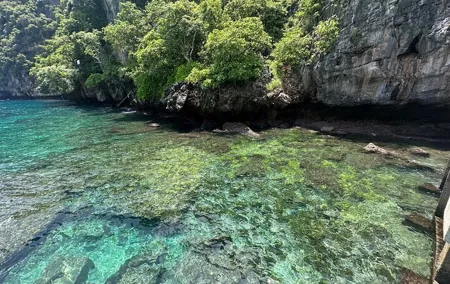 Exclusive Phi Phi and Bamboo Islands Private Tour