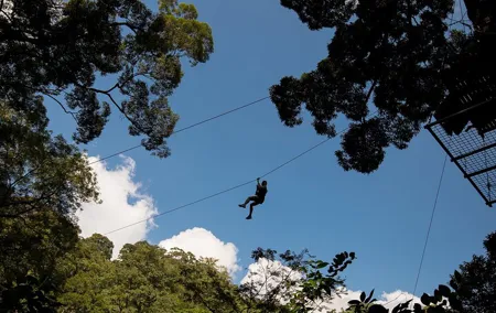 Guided FH1 Zipline Adventure at Hanuman World