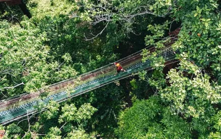 Sky Rock Khaolak Jungle Adventure Zipline Experience