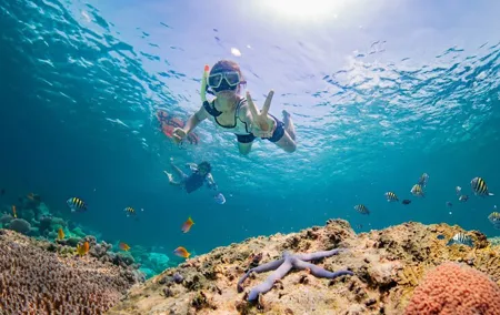 Half day Tropical Coral Island Snorkeling Tour from Phuket