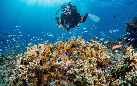Scuba Diving Refresher(3 dives)