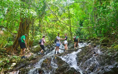 Phuket Khao Phra Taew National Park Jungle Trek and Waterfalls