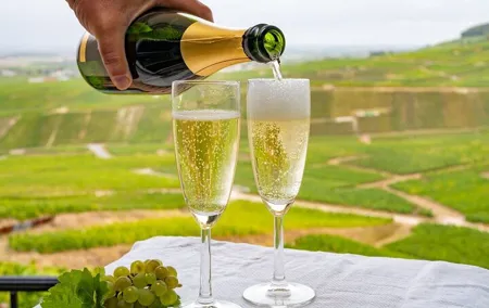 Full-Day Private Champagne Tasting in Reims and its Vineyards