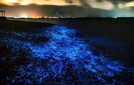 Bioluminescent Plankton, Sea Canoes & Sunset at James Bond Island