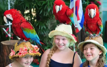 Phuket Bird Park Admission Ticket
