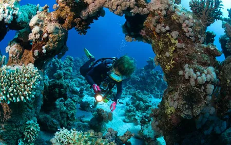 3 Fun Dives in Phi Phi islands for Certified Divers