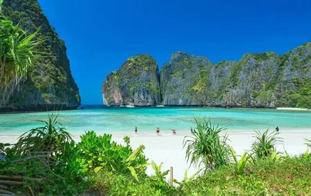 Phuket: Phi Phi Islands, Maya Bay and Khai or Bamboo by Speedboat