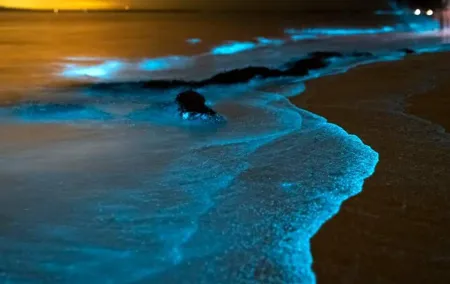 Bioluminescent Plankton, Sea Canoes & Sunset at James Bond Island