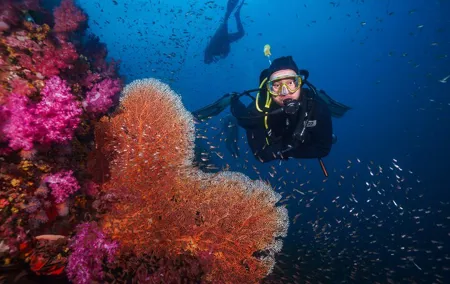 Scuba Liveaboard 2 Days 1 Night Dive Trip from Khao Lak