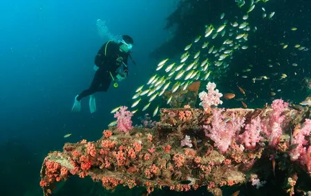 Scuba Diving Day Trip at King Cruiser
