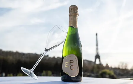 Paris Sightseeing Cruise with Champagne by Bateaux Mouches