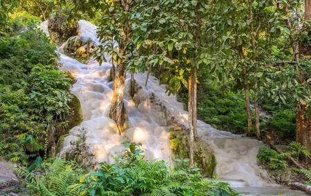 Private Bua Thong Sticky Waterfalls Sightseeing Half Day Tour