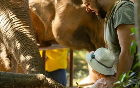 Observing Elephant Nature (NO RIDING NO BATHING)