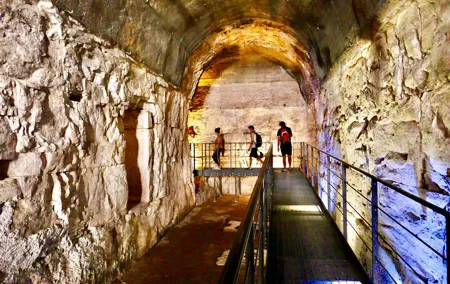 Expert Guided Tour of Colosseum Arena OR Underground, and Forum