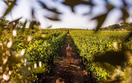From Rome to the Castles: Private 3-Hour Wine Tasting Tour