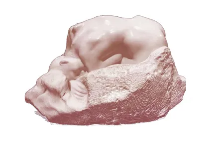 Rodin Museum: Skip-the-line Guided Tour with Artist