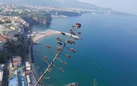 Tour on the Amalfi Coast: Ravello, Amalfi and Positano, a day from Rome