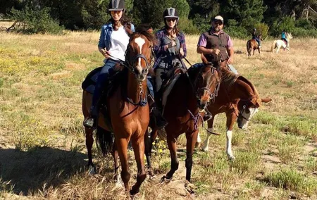 Rome : Horseback Riding with meals and wine included