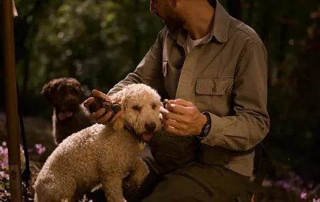 Truffle Hunting, Lunch & Cooking Class in Rome's Countryside