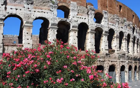 Exclusive Colosseum Express Tour
