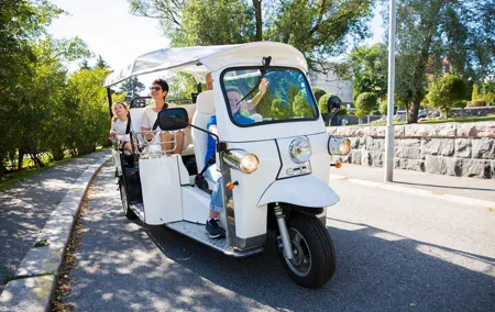 Private Electric Tuk Tuk Tour in Rome