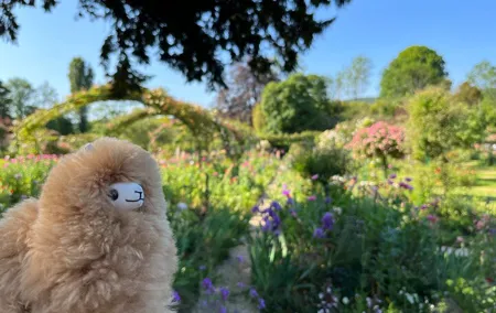 Giverny & Versailles Private Guided Tour with Ticket Entry