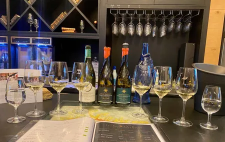 Chablis 20 Exquisite Wines Tasting Trip in Small-Group from Paris