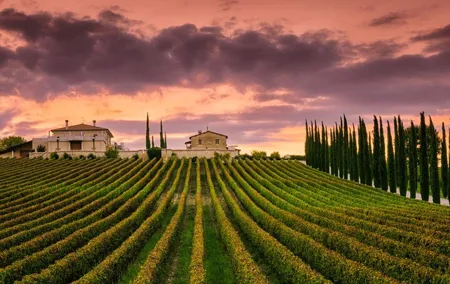 from Rome Montepulciano and Montalcino, the Wine Routes
