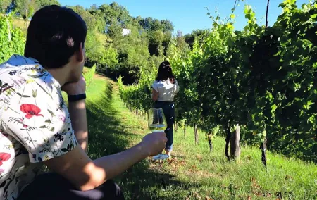 Winery Tour and Tasting 4 wines at Cantina Le Macchie near Rome