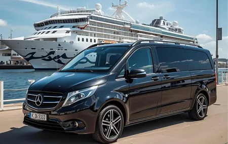Private Transfer from Civitavecchia Port to Fiumicino Airport - Tour Option Available