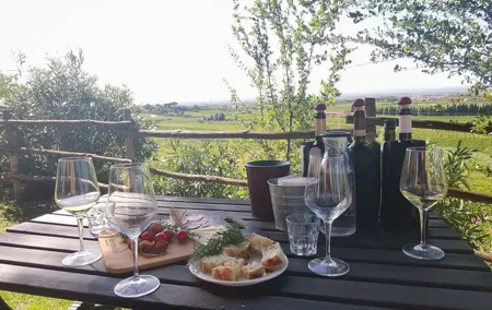 Frascati 2-Hours Wine and Oil Tasting with Vineyards Guided Tour
