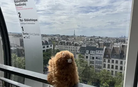 Centre Pompidou: Museum Ticket Entry& 3h Private Guided Tour
