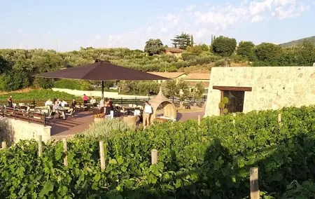 Small-Group Exclusive Winery and Wine Tasting Tour in Frascati