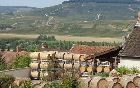 Private wine tour to Champagne region from Paris